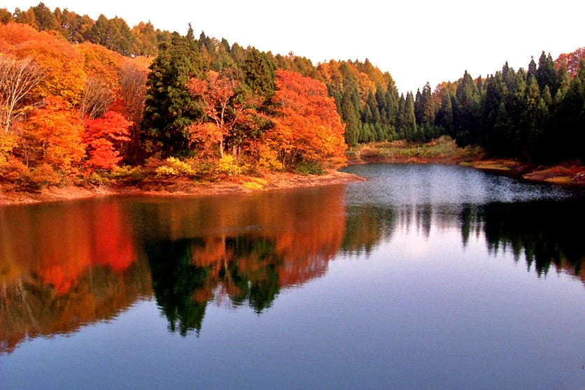 Ultimate Guide to Hiking the Shin-etsu Trail: Self-Guided Treks & Tips