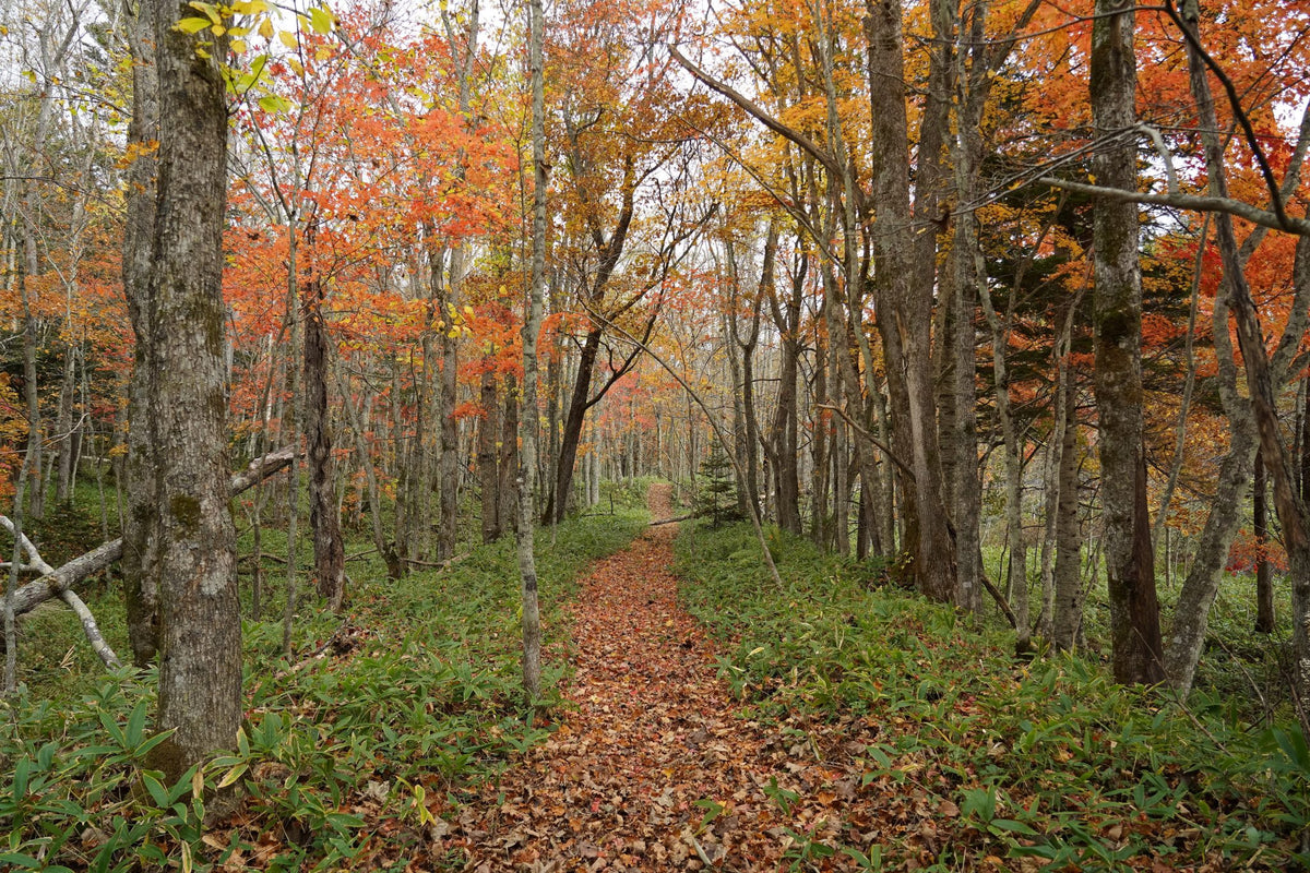 Hokkaido East Trail